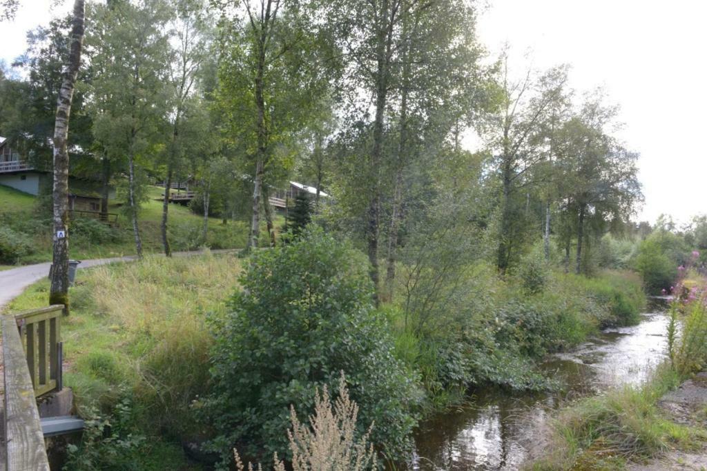 Chalet "A L Oree Du Bois" Bullange Εξωτερικό φωτογραφία