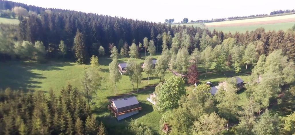 Chalet "A L Oree Du Bois" Bullange Εξωτερικό φωτογραφία