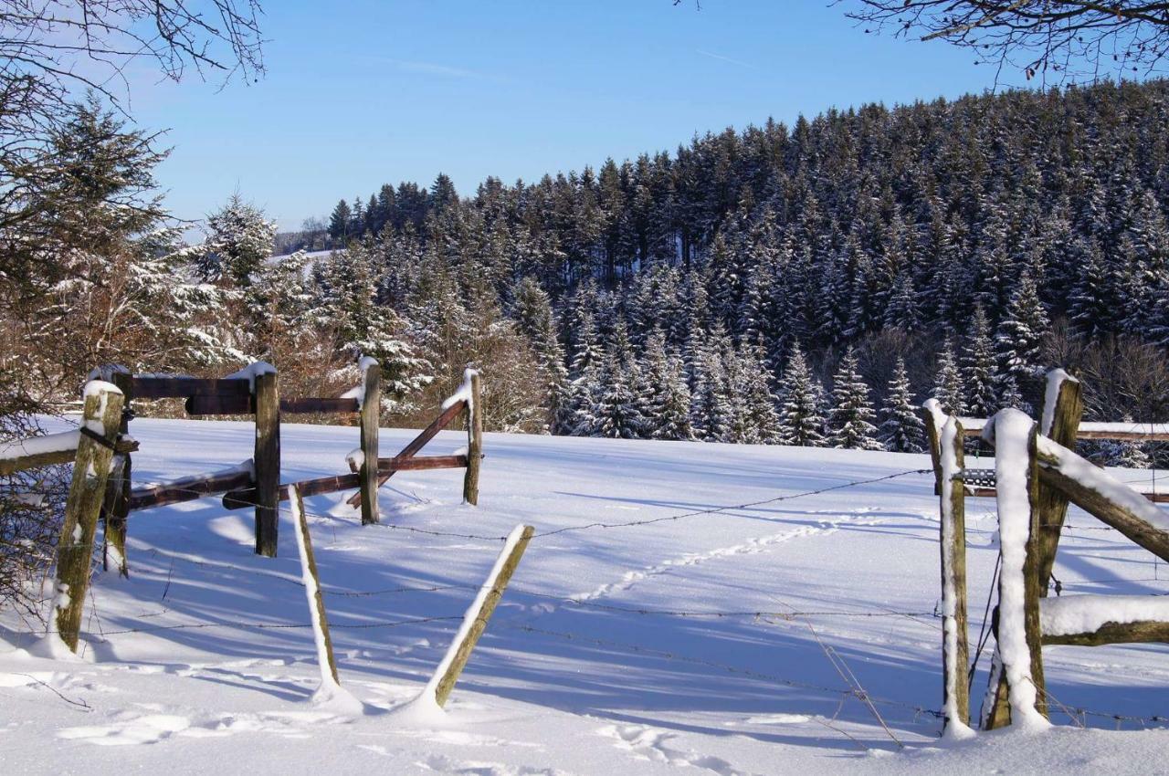 Chalet "A L Oree Du Bois" Bullange Εξωτερικό φωτογραφία